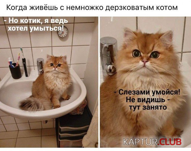 1571237058_podb_vecher_04.jpg | Рено Каптур Клуб Россия | Форум KAPTUR.SU