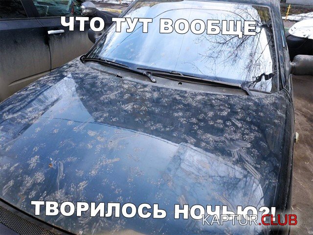 1571237059_podb_vecher_08.jpg | Рено Каптур Клуб Россия | Форум KAPTUR.SU