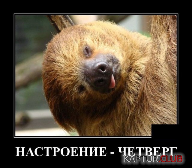 1571316388_demotivatory_09.jpg | Рено Каптур Клуб Россия | Форум KAPTUR.SU