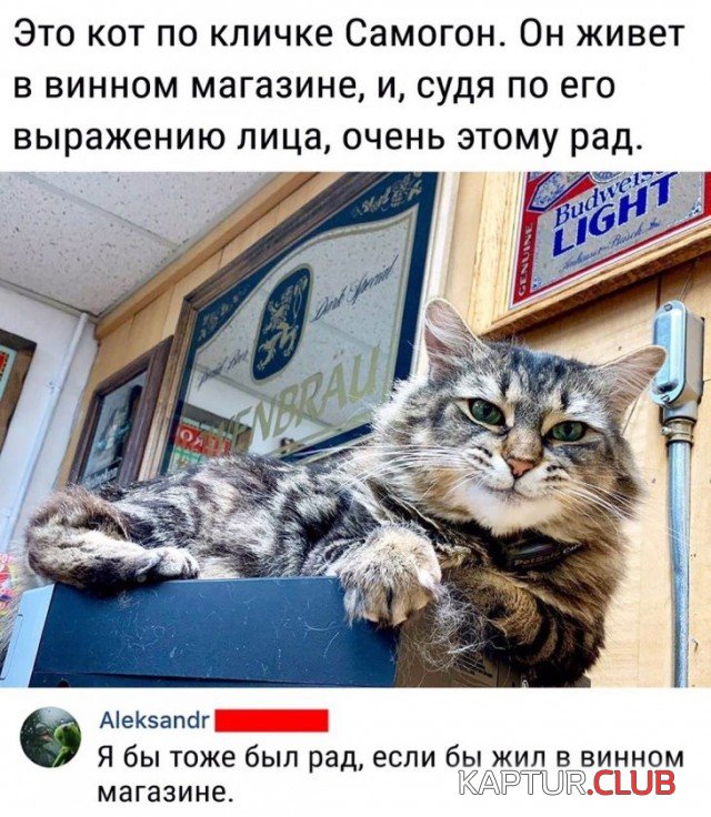 1571322260_podb_vecher_09.jpg | Рено Каптур Клуб Россия | Форум KAPTUR.SU