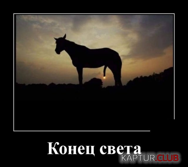1571396163_demotivatory_03.jpg | Рено Каптур Клуб Россия | Форум KAPTUR.SU