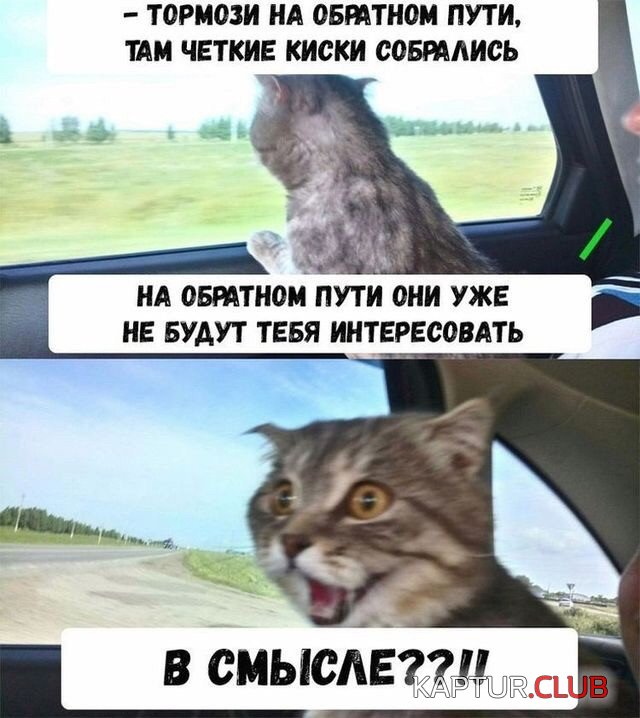 1571408023_podb_vecher_07.jpg | Рено Каптур Клуб Россия | Форум KAPTUR.SU