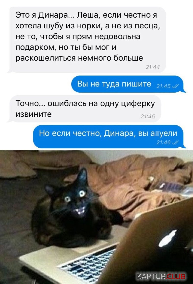 1571646705_podb_22.jpg | Рено Каптур Клуб Россия | Форум KAPTUR.SU
