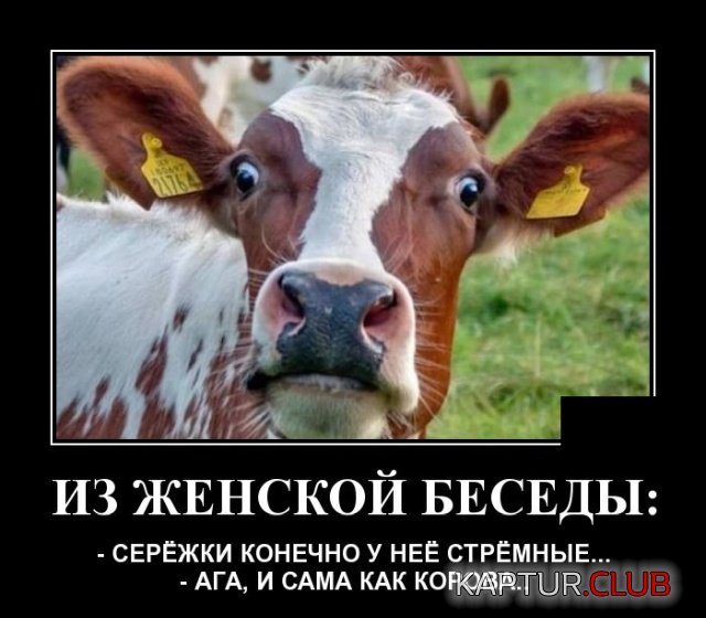 1571752018_demotivatory_11.jpg | Рено Каптур Клуб Россия | Форум KAPTUR.SU
