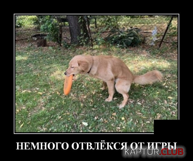 1571752025_demotivatory_09.jpg | Рено Каптур Клуб Россия | Форум KAPTUR.SU