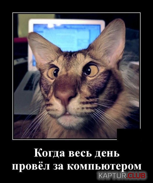 1571752039_demotivatory_20.jpg | Рено Каптур Клуб Россия | Форум KAPTUR.SU