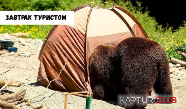 1571756557_podb_vecher_04.jpg | Рено Каптур Клуб Россия | Форум KAPTUR.SU