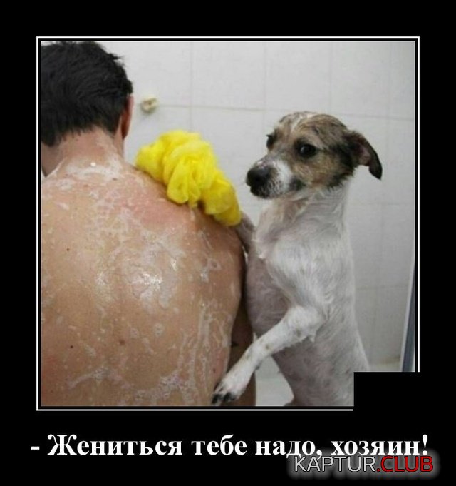 1571836013_demotivatory_11.jpg | Рено Каптур Клуб Россия | Форум KAPTUR.SU