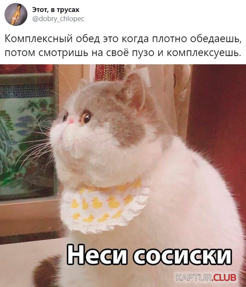 1571908281_1571756600_podb_vecher_13-800x933.jpg | Рено Каптур Клуб Россия | Форум KAPTUR.SU