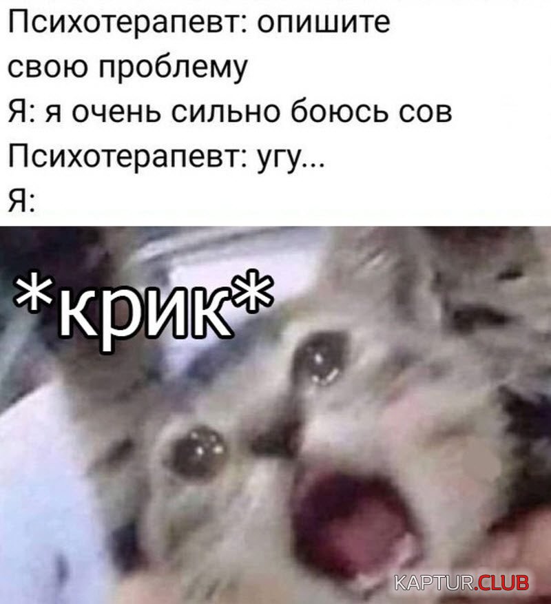 1571908346_1571756614_podb_vecher_18-800x877.jpg | Рено Каптур Клуб Россия | Форум KAPTUR.SU