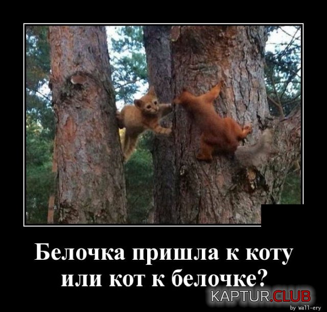 1571910358_1571665042_demotivatory_08.jpg | Рено Каптур Клуб Россия | Форум KAPTUR.SU