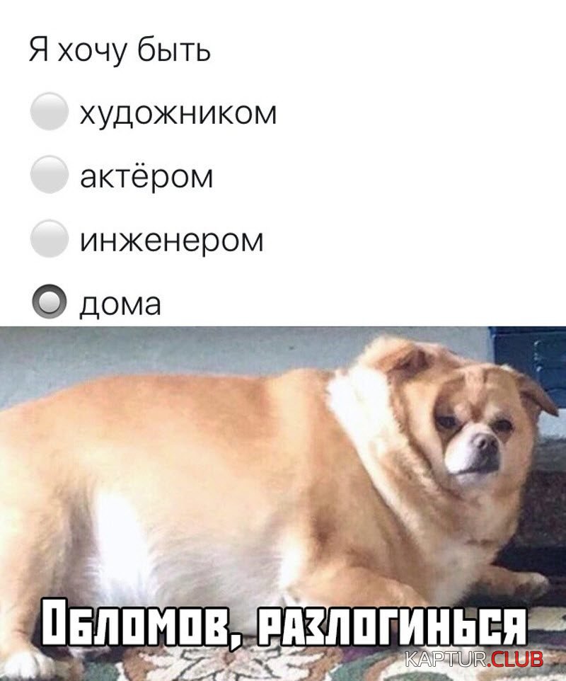1571979362_45566-9-800x962.jpg | Рено Каптур Клуб Россия | Форум KAPTUR.SU