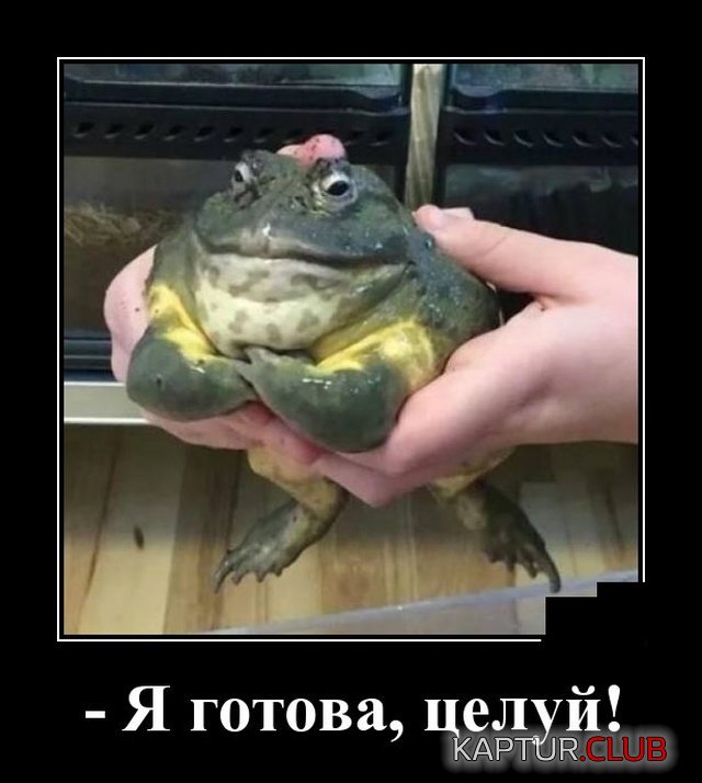1572355746_demotivatory_08.jpg | Рено Каптур Клуб Россия | Форум KAPTUR.SU