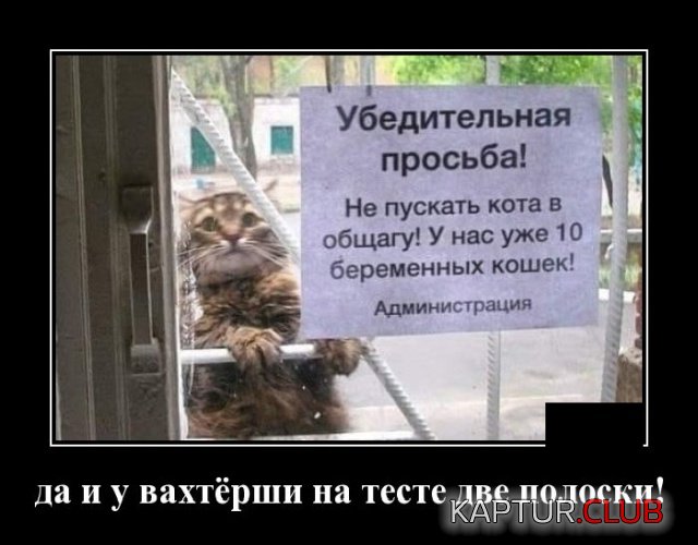 1572442519_demotivatory_12.jpg | Рено Каптур Клуб Россия | Форум KAPTUR.SU
