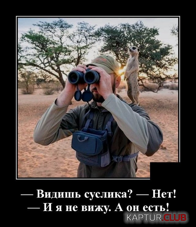 1572442550_demotivatory_05.jpg | Рено Каптур Клуб Россия | Форум KAPTUR.SU
