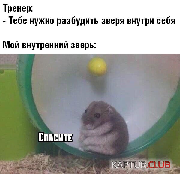 1572514834_podb_25.jpg | Рено Каптур Клуб Россия | Форум KAPTUR.SU