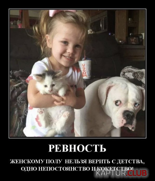 1572793154_1572618978_2-dmt-15.jpg | Рено Каптур Клуб Россия | Форум KAPTUR.SU