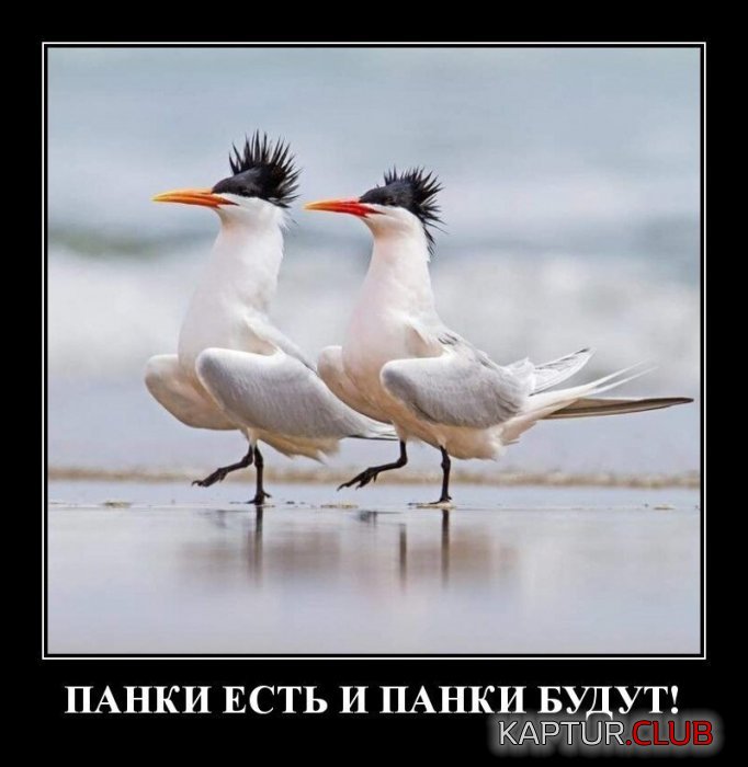 1572793166_1572619001_2-dmt-13.jpg | Рено Каптур Клуб Россия | Форум KAPTUR.SU