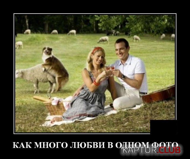 1572954467_demotivatory_14.jpg | Рено Каптур Клуб Россия | Форум KAPTUR.SU