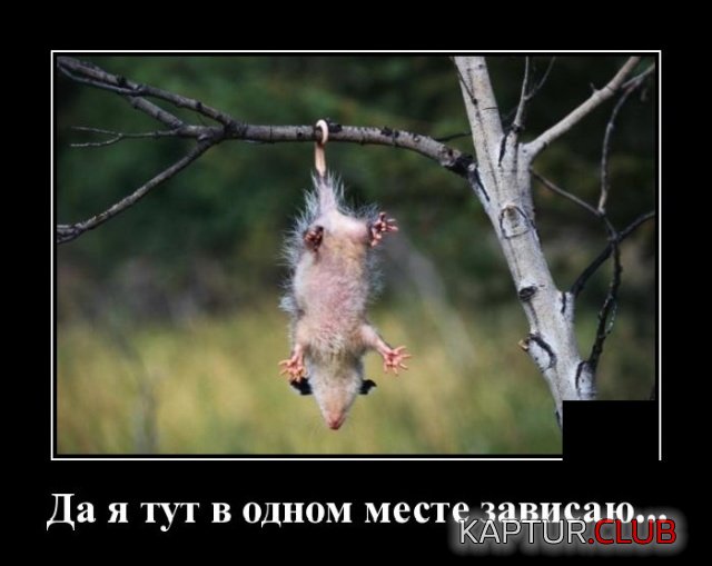 1573027072_1572872897_demotivatory_14.jpg | Рено Каптур Клуб Россия | Форум KAPTUR.SU