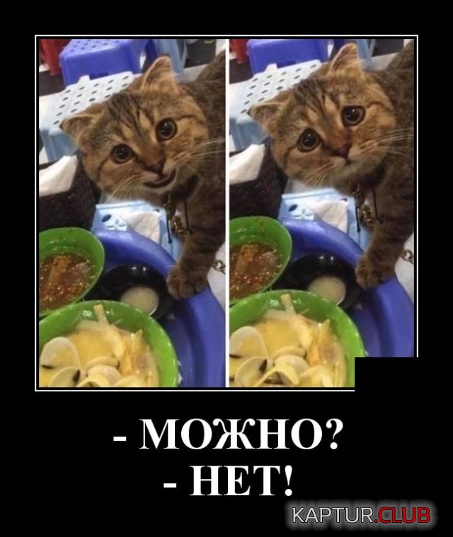 1573027080_1572872936_demotivatory_16.jpg | Рено Каптур Клуб Россия | Форум KAPTUR.SU