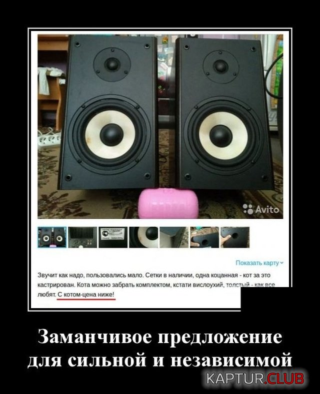 1573045864_demotivatory_07.jpg | Рено Каптур Клуб Россия | Форум KAPTUR.SU