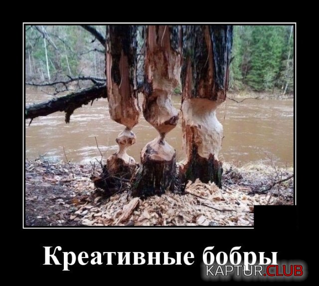 1573045889_demotivatory_03.jpg | Рено Каптур Клуб Россия | Форум KAPTUR.SU