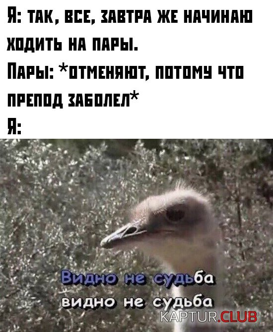 1573118549_podb_02.jpg | Рено Каптур Клуб Россия | Форум KAPTUR.SU