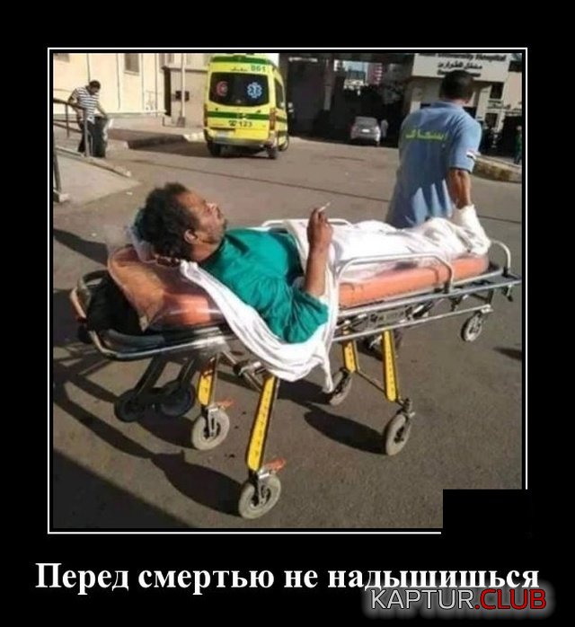 1573134058_demotivatory_02.jpg | Рено Каптур Клуб Россия | Форум KAPTUR.SU