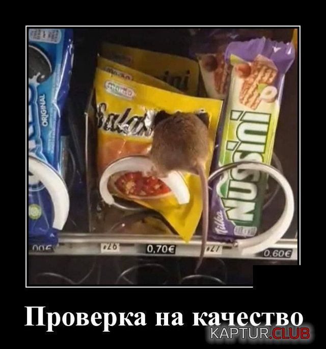1573134101_demotivatory_18.jpg | Рено Каптур Клуб Россия | Форум KAPTUR.SU