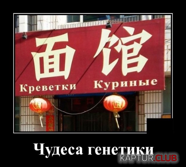 1573134118_demotivatory_19.jpg | Рено Каптур Клуб Россия | Форум KAPTUR.SU