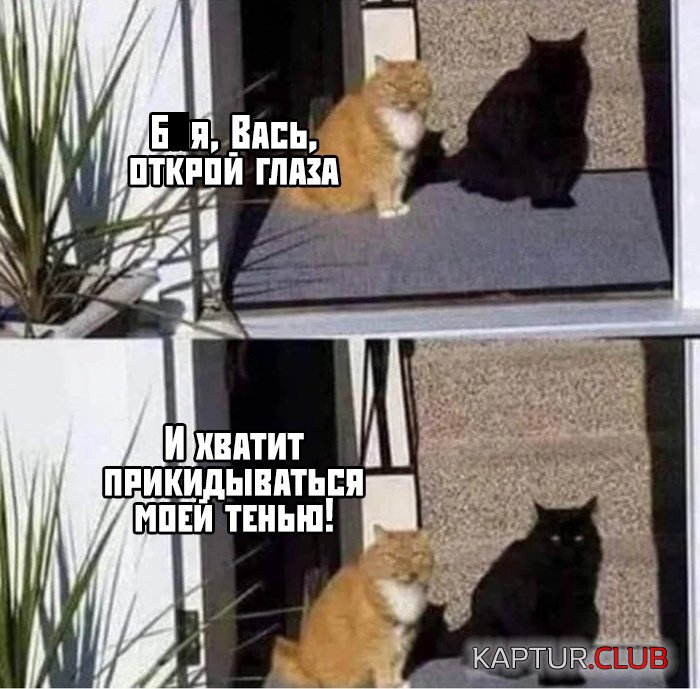 1573224104_podb_vecher_35.jpg | Рено Каптур Клуб Россия | Форум KAPTUR.SU
