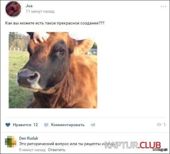 157346_15_trinixy_ru.jpg | Рено Каптур Клуб Россия | Форум KAPTUR.SU