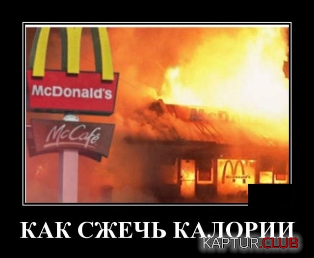 1573478706_demotivatory_12.jpg | Рено Каптур Клуб Россия | Форум KAPTUR.SU