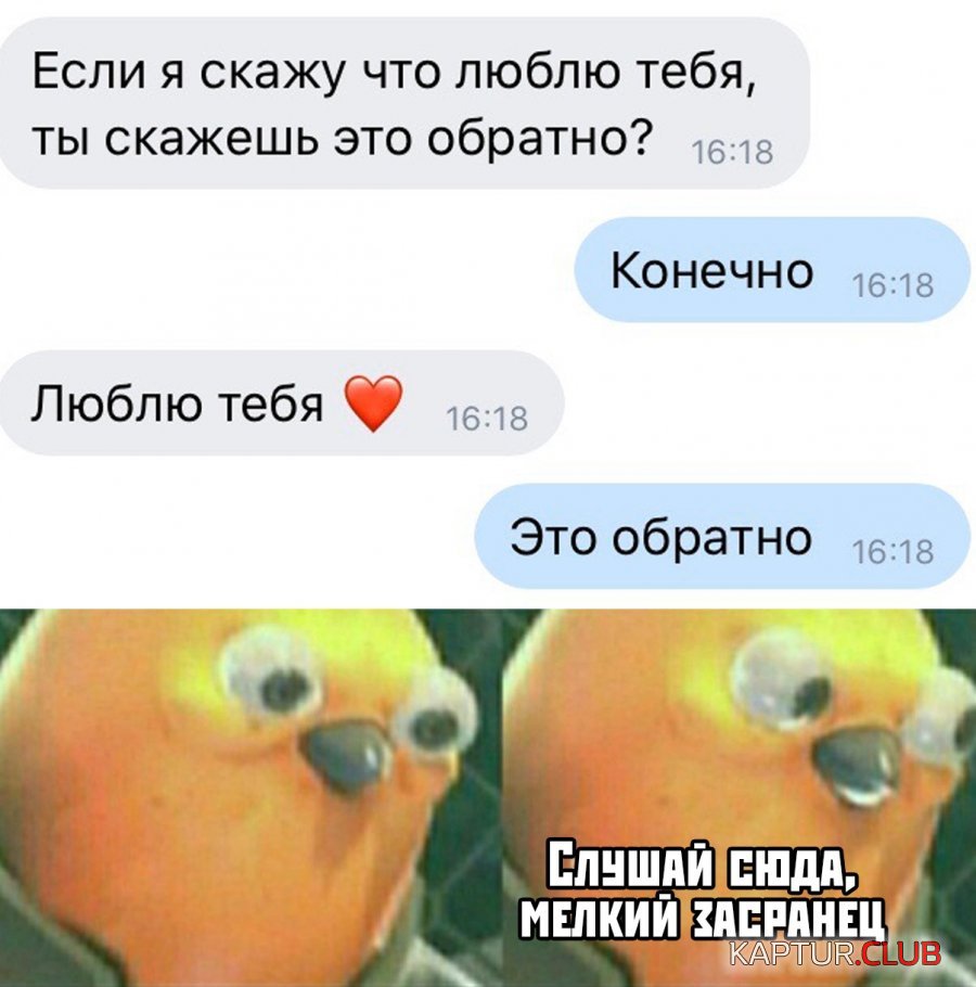 1573568998_podb_vecher_06.jpg | Рено Каптур Клуб Россия | Форум KAPTUR.SU