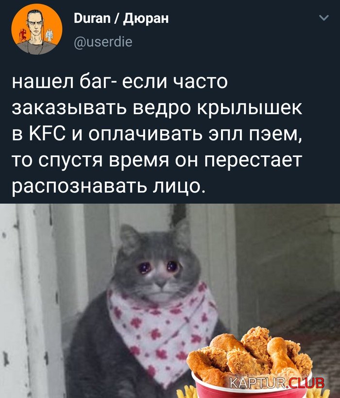 1573635372_podb_02.jpg | Рено Каптур Клуб Россия | Форум KAPTUR.SU