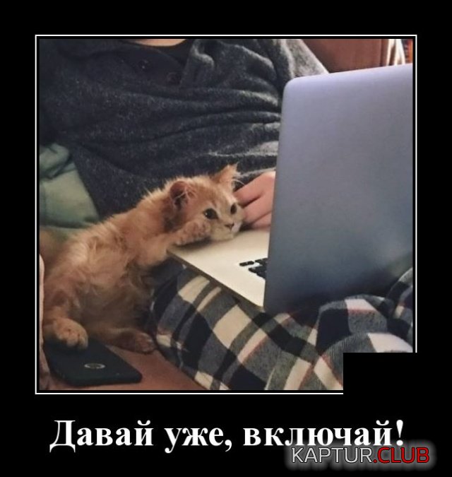 1574082281_demotivatory_06.jpg | Рено Каптур Клуб Россия | Форум KAPTUR.SU
