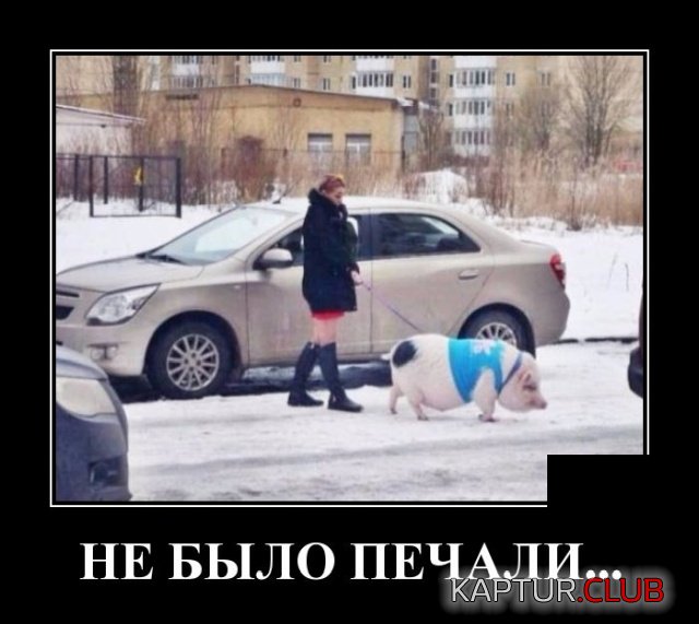 1574325622_1574173776_demotivatory_12.jpg | Рено Каптур Клуб Россия | Форум KAPTUR.SU