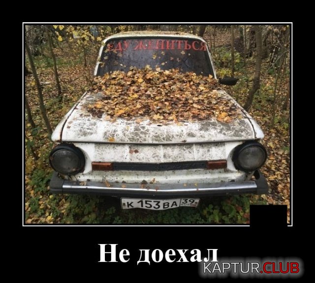 1574343648_demotivatory_01.jpg | Рено Каптур Клуб Россия | Форум KAPTUR.SU