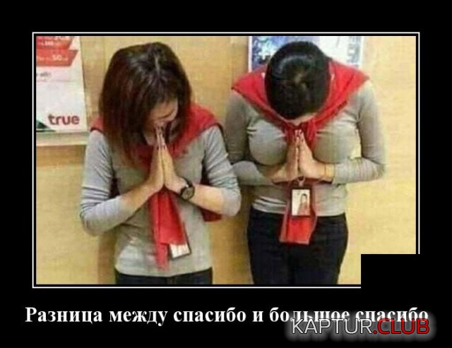 1574343714_demotivatory_10.jpg | Рено Каптур Клуб Россия | Форум KAPTUR.SU