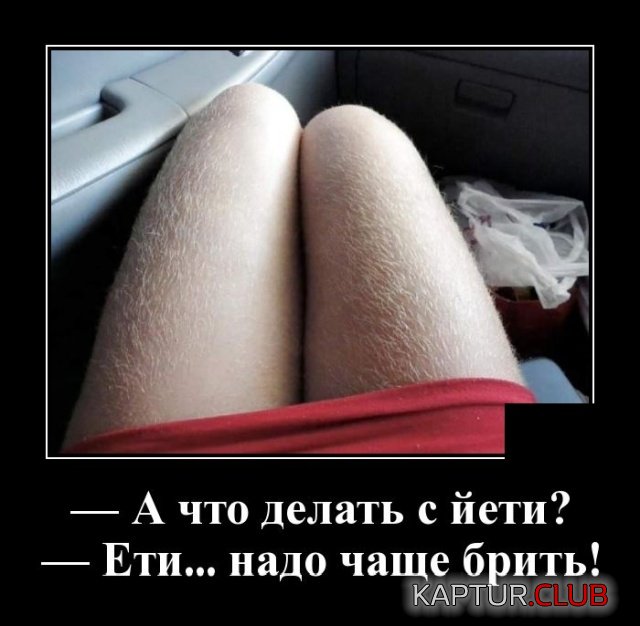 1574430996_demotivatory_03.jpg | Рено Каптур Клуб Россия | Форум KAPTUR.SU