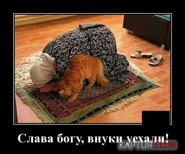1574431038_demotivatory_13.jpg | Рено Каптур Клуб Россия | Форум KAPTUR.SU