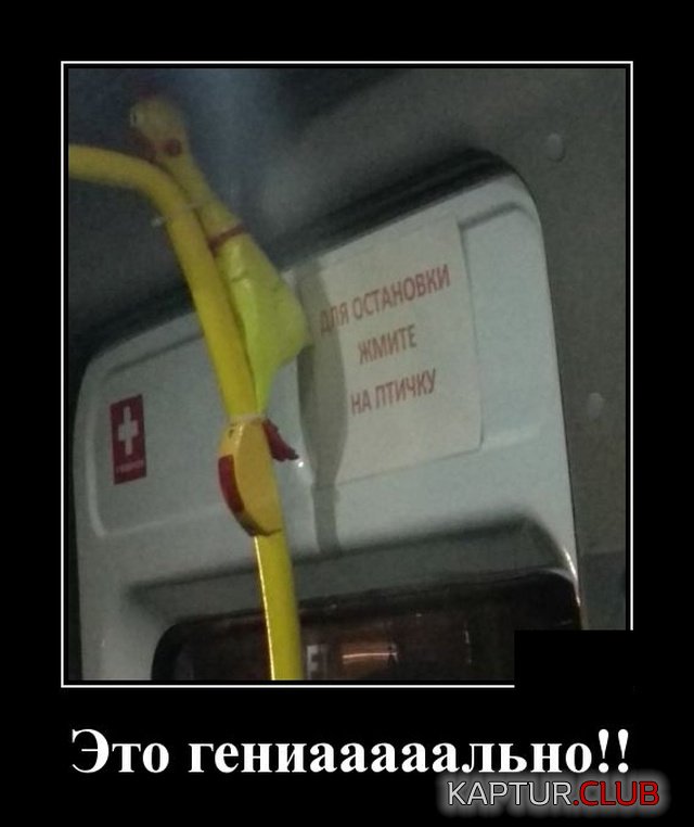 1574622435_1574343723_demotivatory_07.jpg | Рено Каптур Клуб Россия | Форум KAPTUR.SU