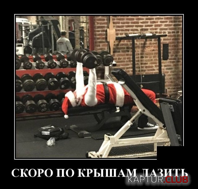 1574684674_demotivatory_17.jpg | Рено Каптур Клуб Россия | Форум KAPTUR.SU