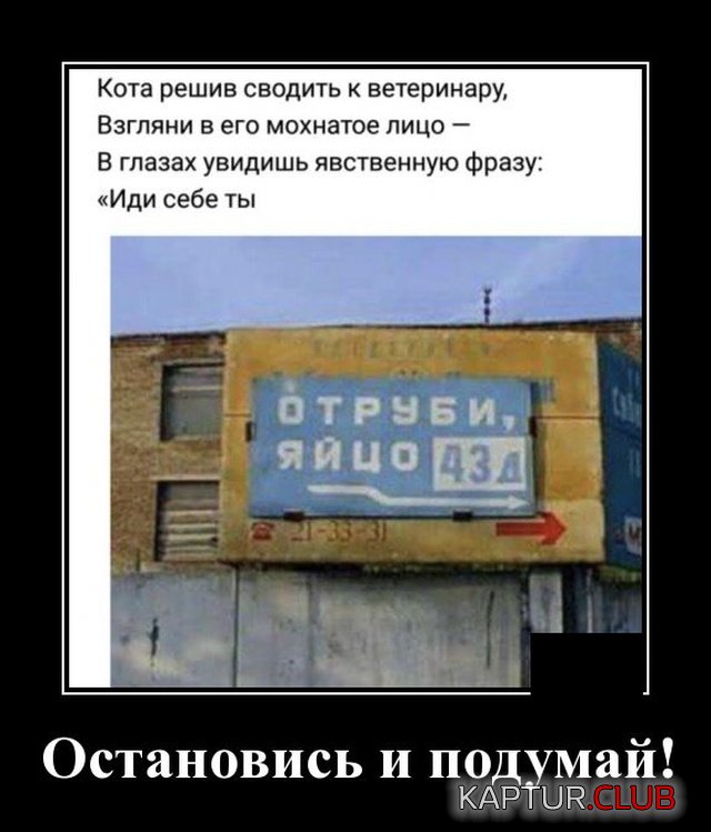 1574684694_demotivatory_05.jpg | Рено Каптур Клуб Россия | Форум KAPTUR.SU