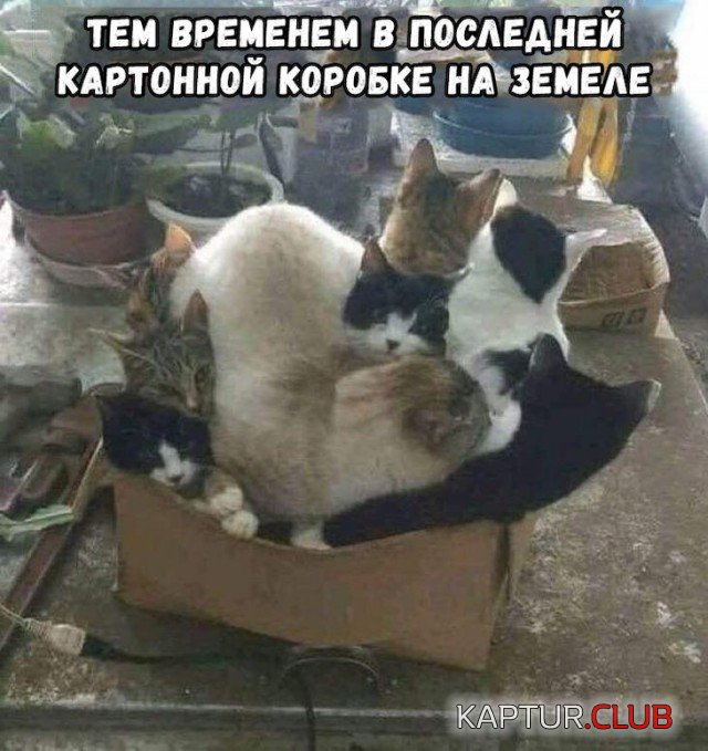1574862399_podb_vecher_06.jpg | Рено Каптур Клуб Россия | Форум KAPTUR.SU