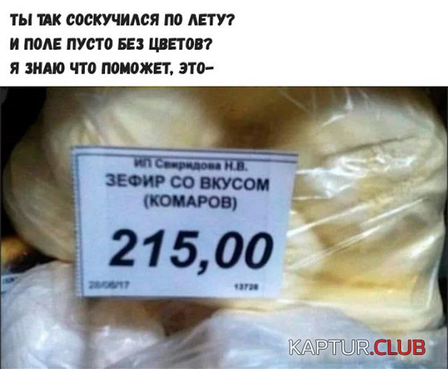 1574925818_1574862424_podb_vecher_01.jpg | Рено Каптур Клуб Россия | Форум KAPTUR.SU