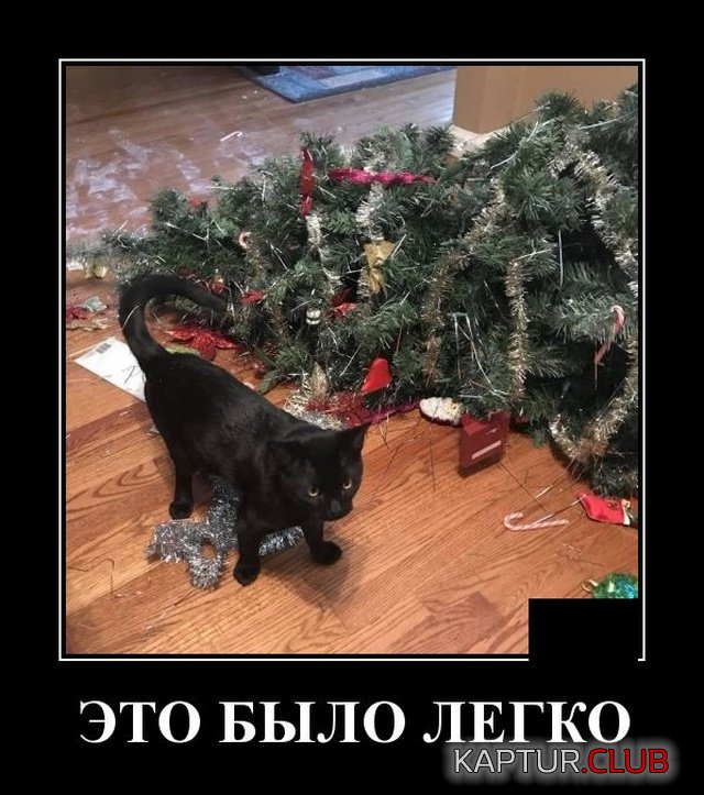 1575530006_1575380744_demotivatory_08.jpg | Рено Каптур Клуб Россия | Форум KAPTUR.SU
