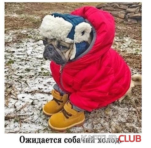 1575530083_1575470664_podb_vecher_01.jpg | Рено Каптур Клуб Россия | Форум KAPTUR.SU