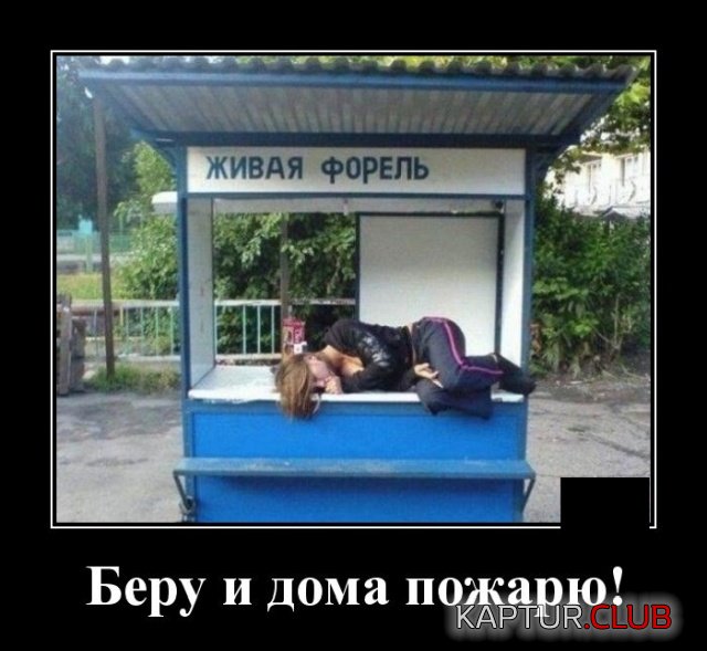 1575571774_1575295282_demotivatory_14.jpg | Рено Каптур Клуб Россия | Форум KAPTUR.SU